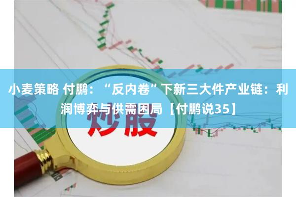 小麦策略 付鹏：“反内卷”下新三大件产业链：利润博弈与供需困局【付鹏说35】