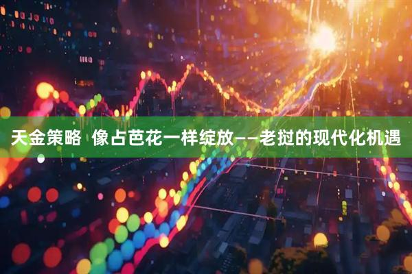 天金策略  像占芭花一样绽放——老挝的现代化机遇